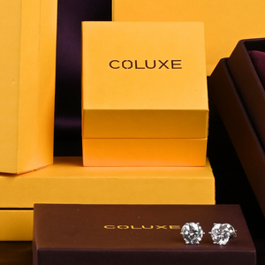 The Coluxe Classics Edit